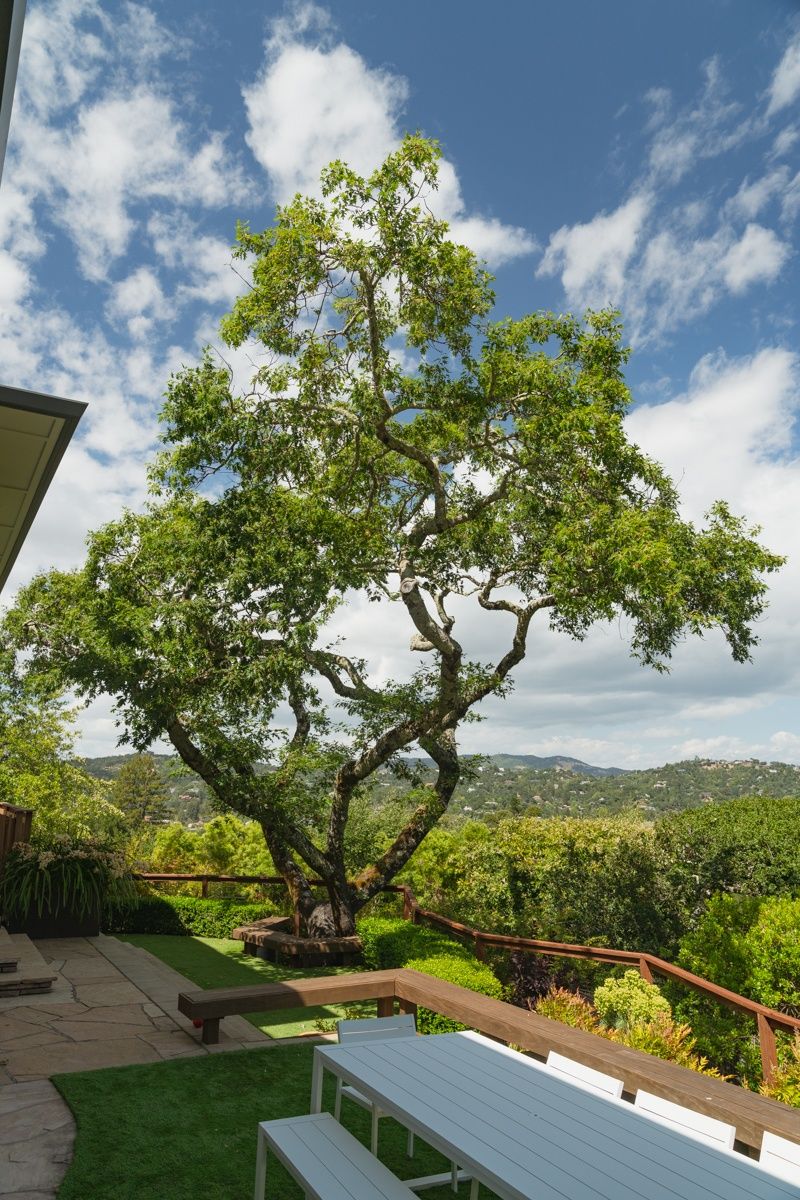 Kentfield Remodel — outdoor — Sonoma Residential Services